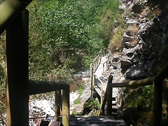 DSCN2540 DSCN2540