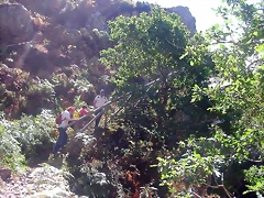 DSCN2528 DSCN2528