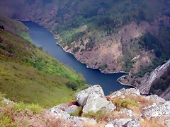 DSCN2902 DSCN2902