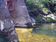 DSCN2544 DSCN2544