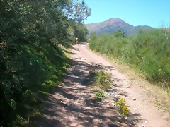 DSCN2643 DSCN2643