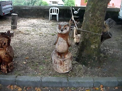 DSCN2802 DSCN2802