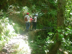 DSCN2522 DSCN2522