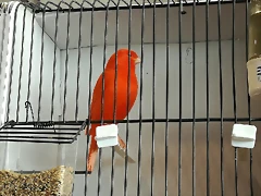 IMG_20170122_123830 IMG_20170122_123830