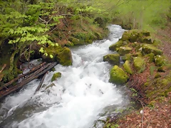 DSCN4423 DSCN4423