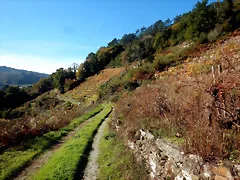 DSCN4486 DSCN4486