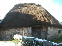DSCN4866 DSCN4866
