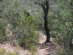 PICT0062