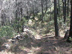 PICT0057