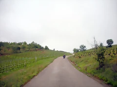 DSCN4954 DSCN4954