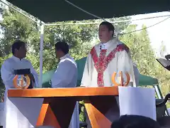 Virgenmisionera (4)