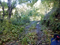 DSCN0047 DSCN0047