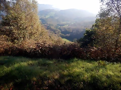 DSCN9461