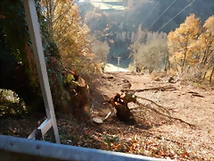 DSCN9006 DSCN9006