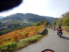 DSCN0554 DSCN0554