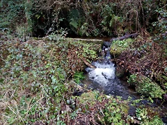 DSCN2997 DSCN2997