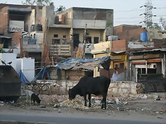 IMG_2345 IMG_2345