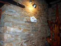 DSCN1376 DSCN1376