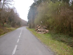 DSCN8168 DSCN8168
