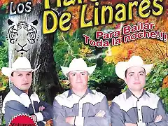 los tigres para bailar toda la noche