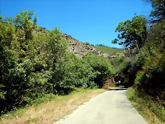 DSCN3907 DSCN3907