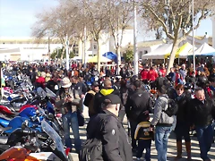IMAG0010 IMAG0010
