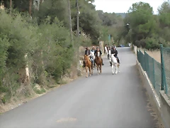 IMG_0408 IMG_0408