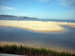 DSCN7551