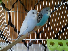 IMG_20190306_155150