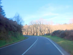 DSCN2504 DSCN2504