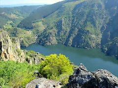 IMG_2649 IMG_2649