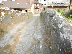DSCN8861 DSCN8861