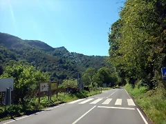 DSCN0097 DSCN0097
