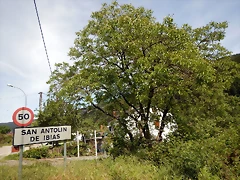 DSCN1179 DSCN1179