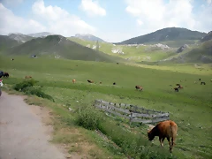 DSCN3651 DSCN3651