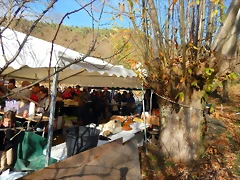 DSCN0210 DSCN0210