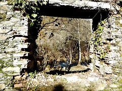 DSCN1518 DSCN1518