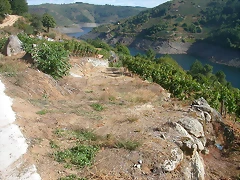 DSCN3952 DSCN3952