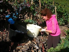 DSCN3940 DSCN3940