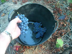DSCN3925