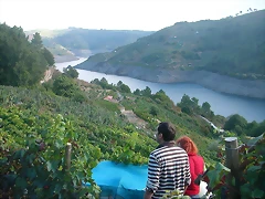 DSCN3921