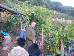 DSCN3923 DSCN3923