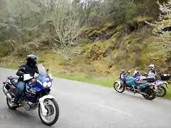 DSCN3496 DSCN3496
