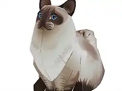 ragdoll_thm