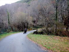 DSCN1994 DSCN1994
