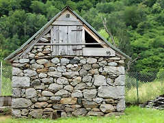 IMG_6716 IMG_6716