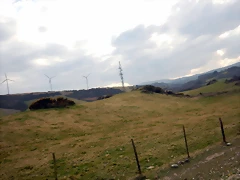 DSCN9542 DSCN9542