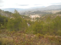 DSCN5800