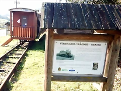DSCN4557 DSCN4557