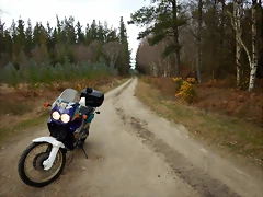 DSCN2462 DSCN2462
